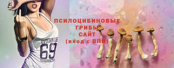 гидра Алексин